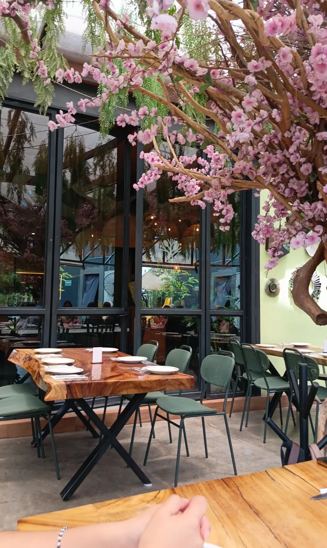 Terraza de Los Arbolitos bajo un árbol en flor, con mesas de madera y sillas verdes.